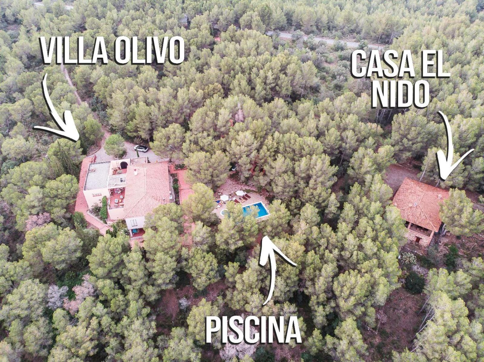 Aldeamia, Forest, Mountain View, Beach At 8 Min Vilanova de Escornalbou Екстер'єр фото